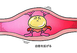 カルシウム拮抗薬