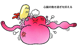 β遮断薬